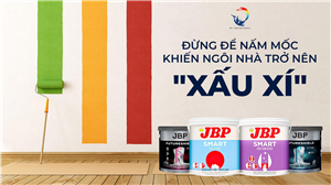 ĐỪNG ĐỂ NẤM MỐC KHIẾN NGÔI NHÀ TRỞ NÊN "XẤU XÍ"